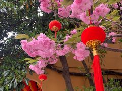 -龙华寺
