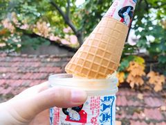 大白兔奶糖冰淇淋-大水的店(昙华林店)
