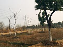 -南湖湿地公园