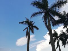 -清远熹乐谷温泉度假酒店