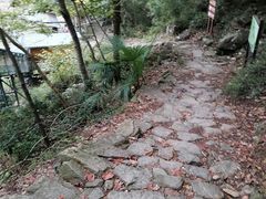-丹山赤水风景名胜区