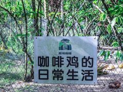 -兴隆隆苑咖啡庄园