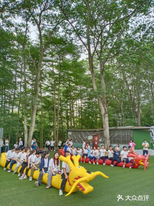 松山湖南湖湾露营营地图片