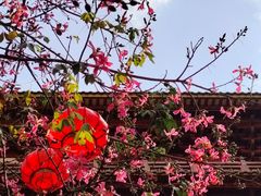 -大佛古寺
