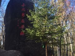 -汤旺河林海奇石景区