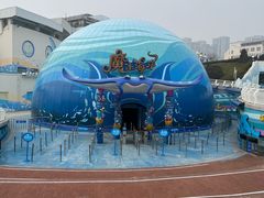 -海合安青岛极地海洋公园