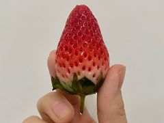 -百果园(海马公园店)