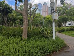 -万绿园