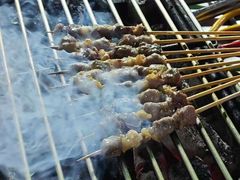 -山野的朋友露营炭火烤肉