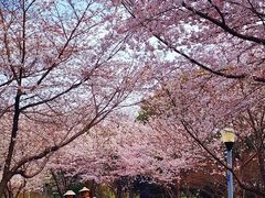 -尚贤河湿地