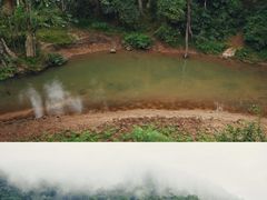 -野象谷景区