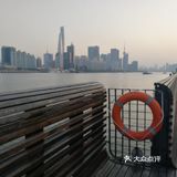 吹着夏风,目光追随着那一只只江鸥,自由地翱翔在浦江上空