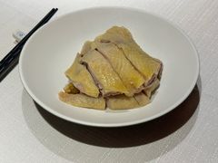 -老吉士酒家(天平路店)