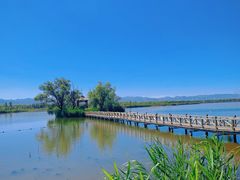-野鸭湖国家湿地公园