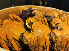 大闸蟹-蟹榭(静安寺晶品商场店)