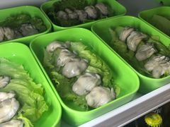 -蚝专家