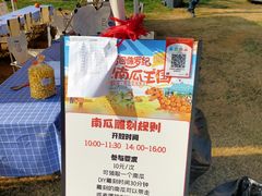 -荷兰花海