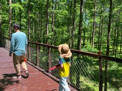 -黄海国家森林公园