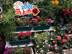 -山水茶艺馆·点心粤菜·30年老字号