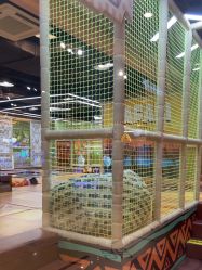 -卡通尼·Safari非洲探索乐园·生日会(金桥国际商业广场店)