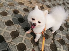 -沪上阿姨·精选茶饮(桃源友嘉购物广场店)