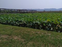 -处女泉风景名胜区