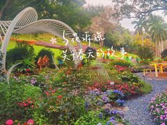 -广州市白云山风景名胜区