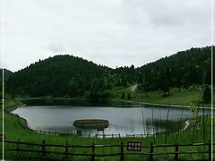 -武陵山森林公园