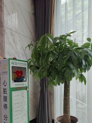 -上海华美医疗美容医院