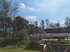 -溱湖国家湿地公园