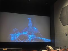 -星河寰宇IMAX影城(星河WORLD·COCO Park店)