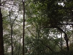 -重庆彩云湖湿地公园