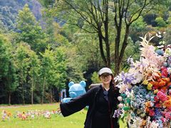 -龙湾潭国家森林公园