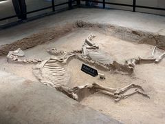 -洛阳周王城天子驾六博物馆