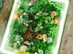 -花锅速食(日月广场店)
