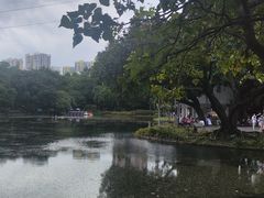 -晓港公园