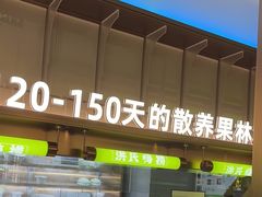 -洪氏嗨捞·广东猪肚鸡·椰子鸡火锅(西咸万象城店)