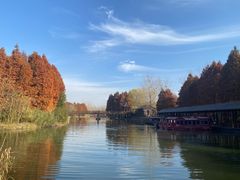 -溱湖国家湿地公园