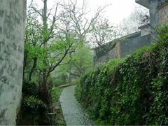 -塔川景区