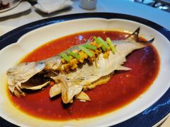 咸拧豆酱蒸马友鱼-粤界(望京金辉店)