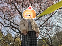 -香雪海