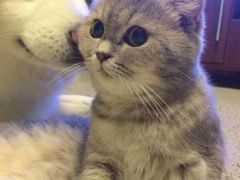 -千纸鹤嫩汁烤肉(学府店)