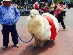 -大连森林动物园