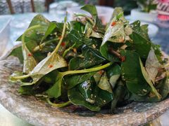 折耳根-青城甲(青城山店)