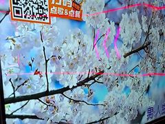 -星聚会KTV X Party(上海真如中海环宇城店)
