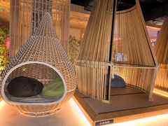 -蓝鲸湾汤泉(包河店)