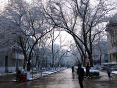 -北京大学百年讲堂