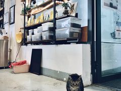 -唐咖精品咖啡(大理古城手冲店)