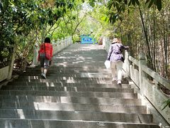 -石老人观光园