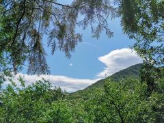 -阳台山自然风景区